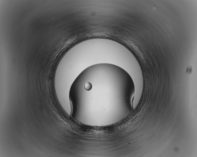 X0000099510260200806121445