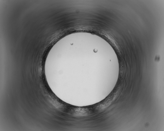 X0000099510261200806121445