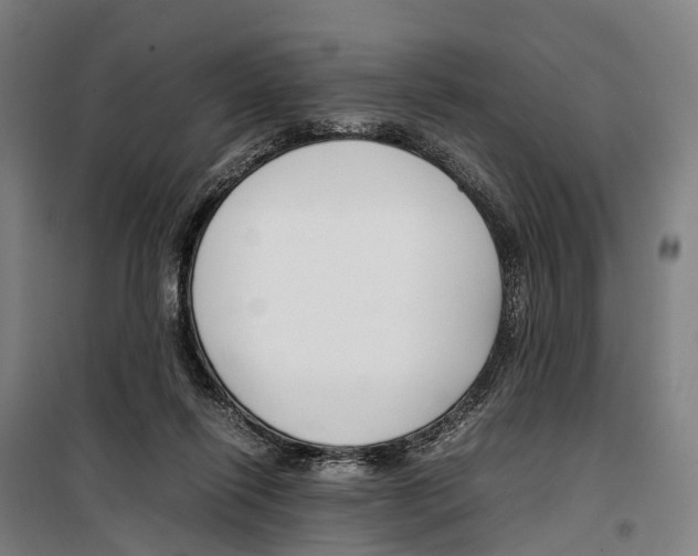X0000099510262200806121445