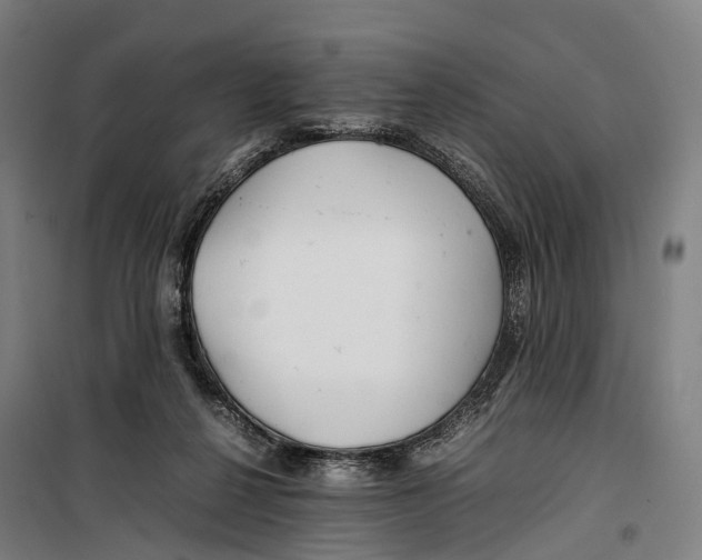 X0000099510264200806121445