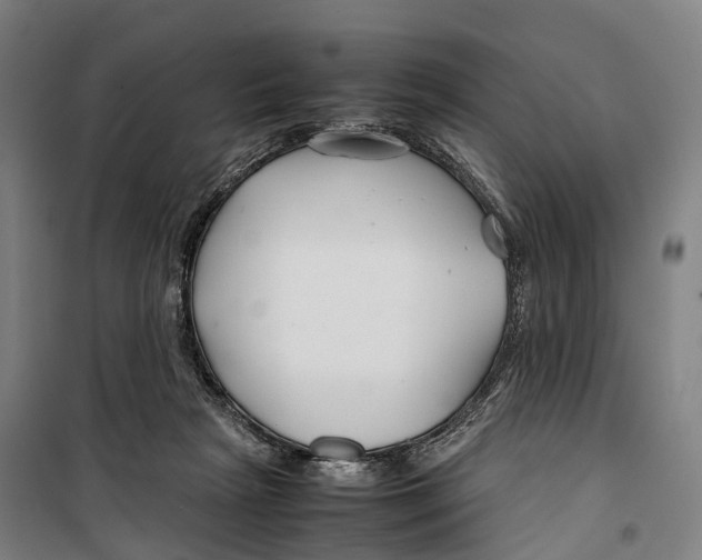 X0000099510265200806121445