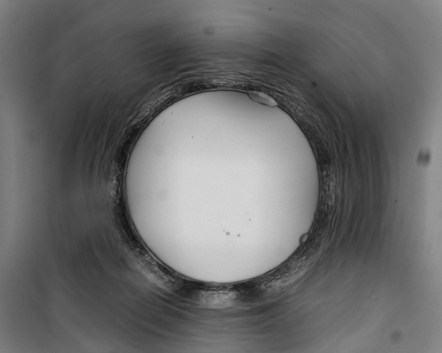 X0000099510266200806121445