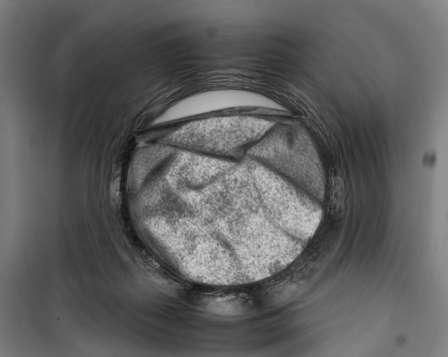 X0000099510267200806121445
