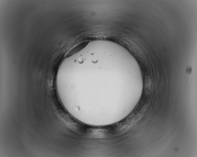 X0000099510268200806121445