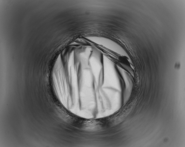 X0000099510269200806121445