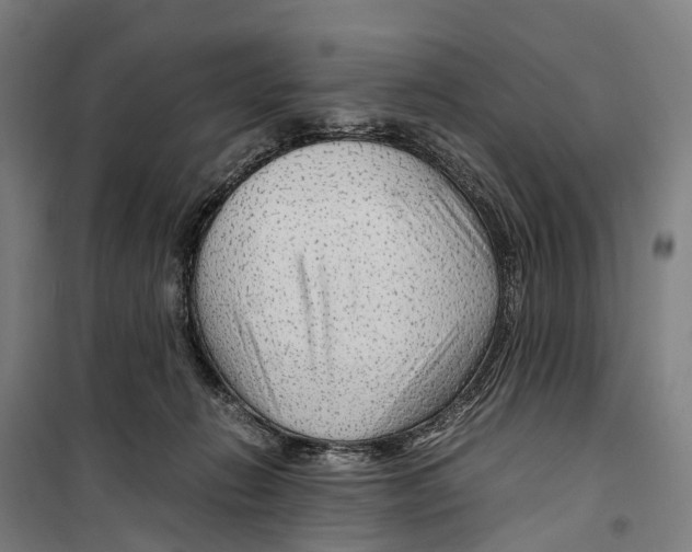 X0000099510270200806121445