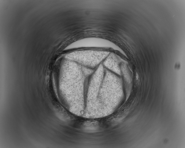 X0000099510271200806121445