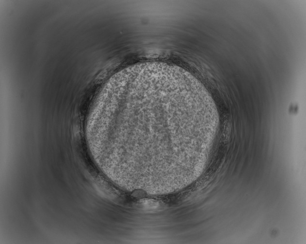 X0000099510272200806121445