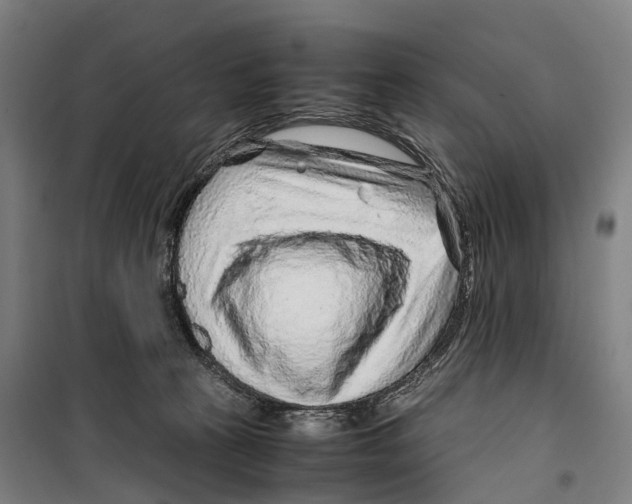 X0000099510273200806121445