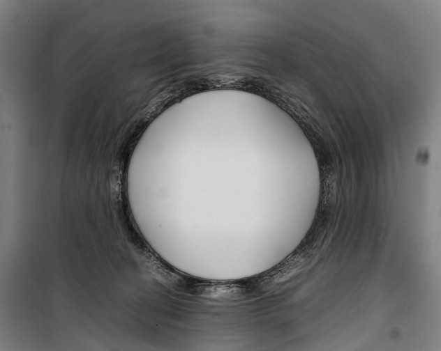 X0000099510274200806121445