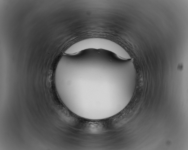 X0000099510275200806121445