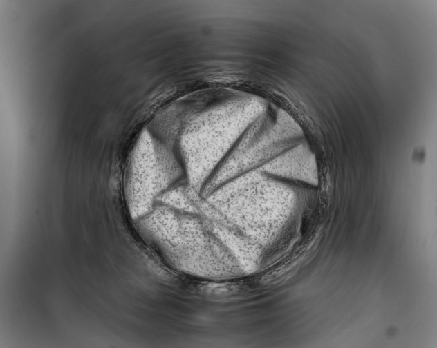 X0000099510277200806121446