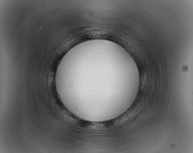 X0000099510278200806121446