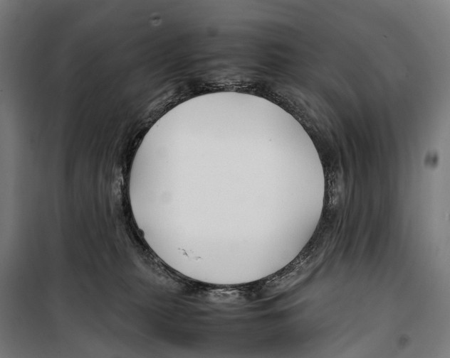 X0000099510279200806121446
