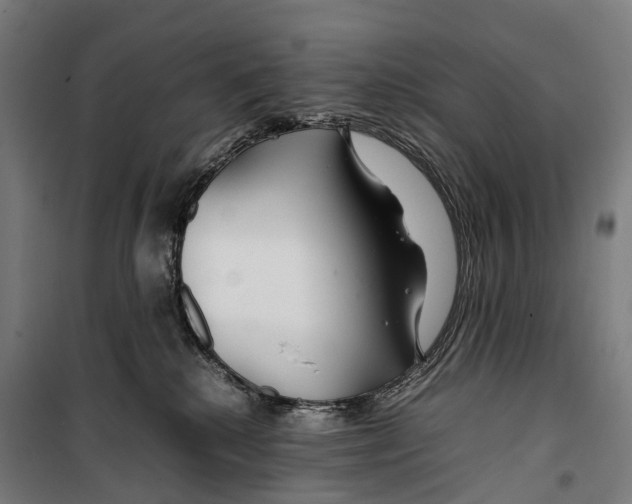 X0000099510280200806121446
