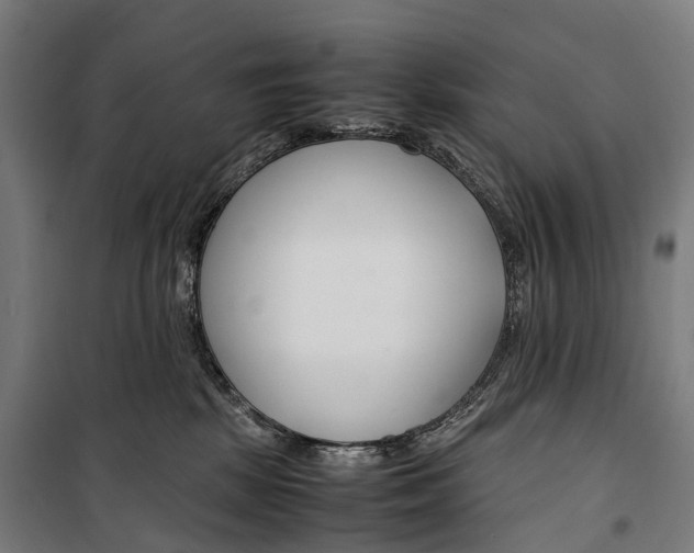 X0000099510281200806121446