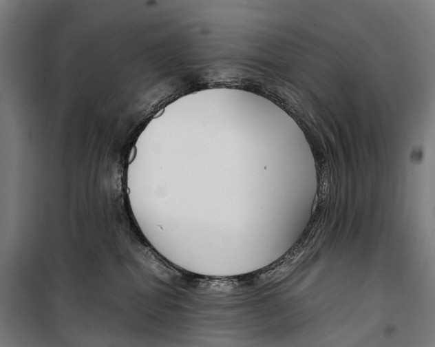 X0000099510282200806121446