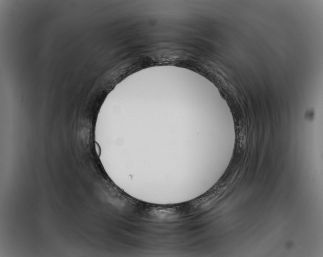 X0000099510283200806121446