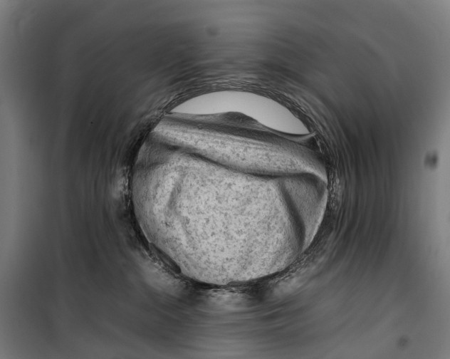 X0000099510284200806121446
