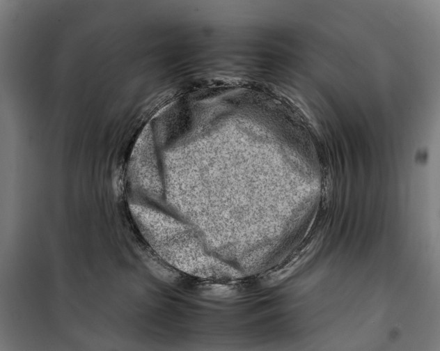 X0000099510285200806121446