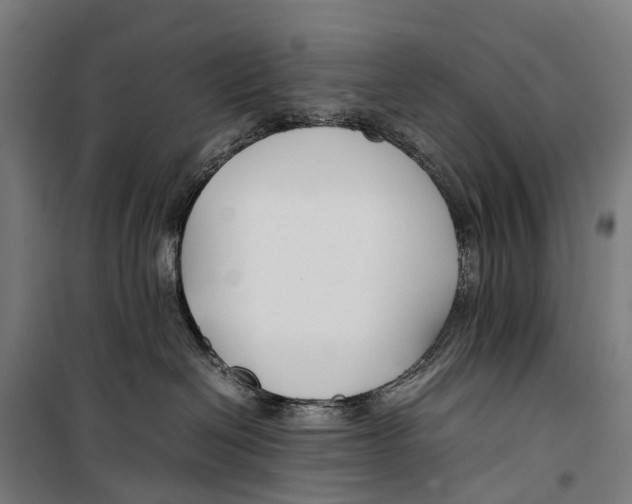 X0000099510286200806121446