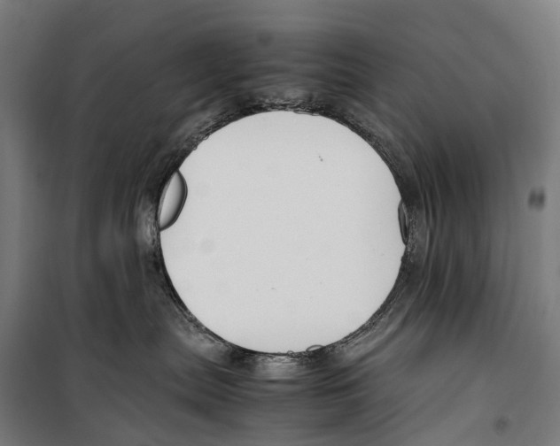 X0000099510287200806121446