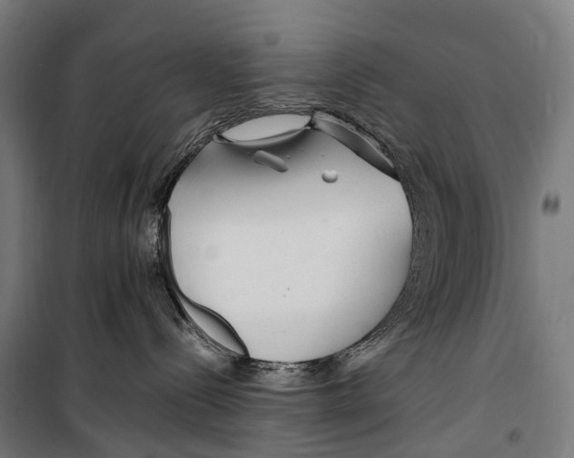 X0000099510288200806121446