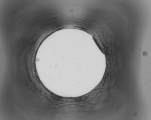 X0000099510289200806121445