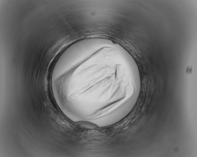 X0000099510290200806121445