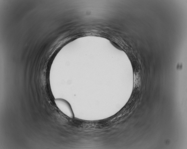 X0000099510291200806121445