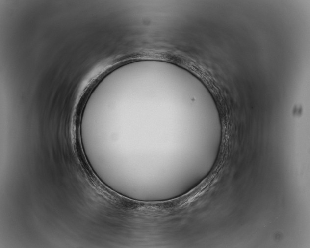 X0000099510294200806121445