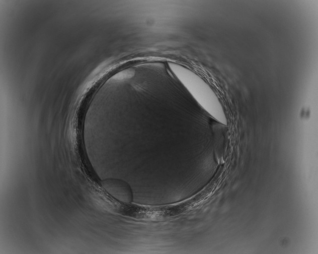 X0000099510295200806121445