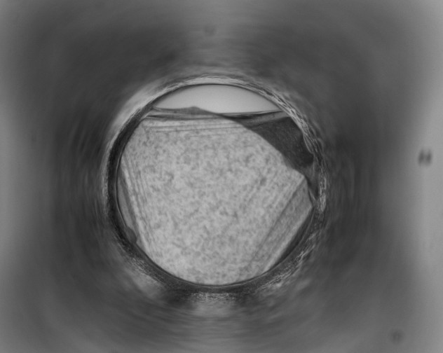 X0000099510296200806121445