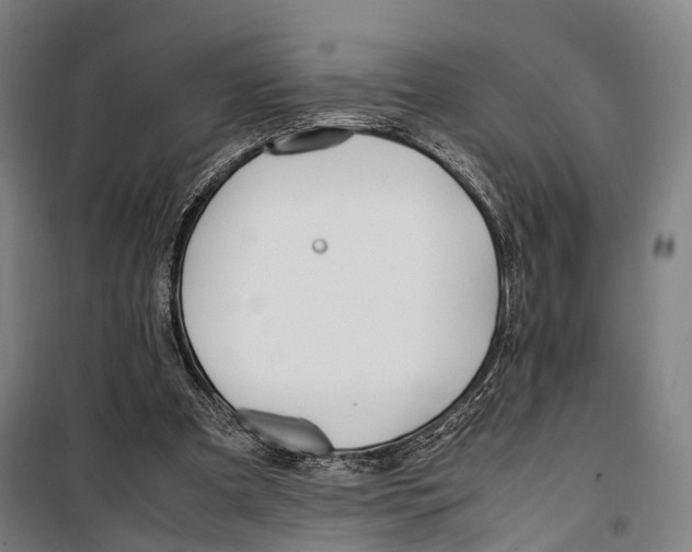 X0000099510297200806121445