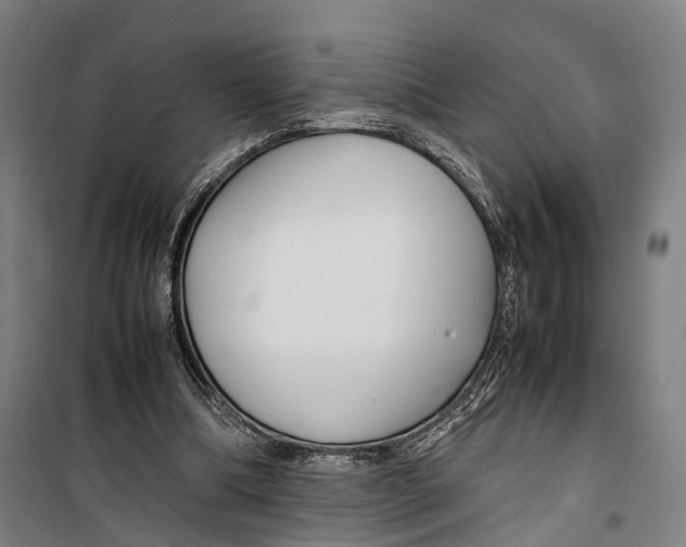 X0000099510298200806121445