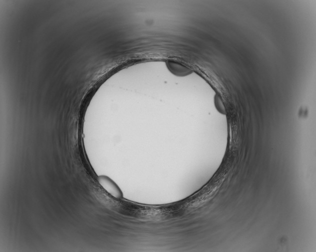 X0000099510301200806121445