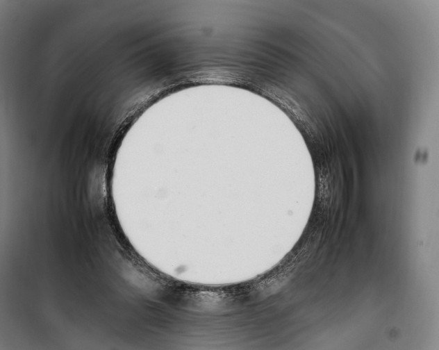 X0000099510302200806121445