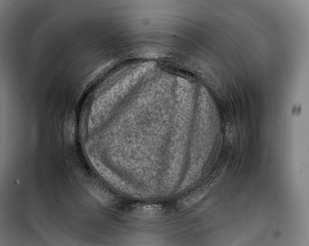 X0000099510304200806121445
