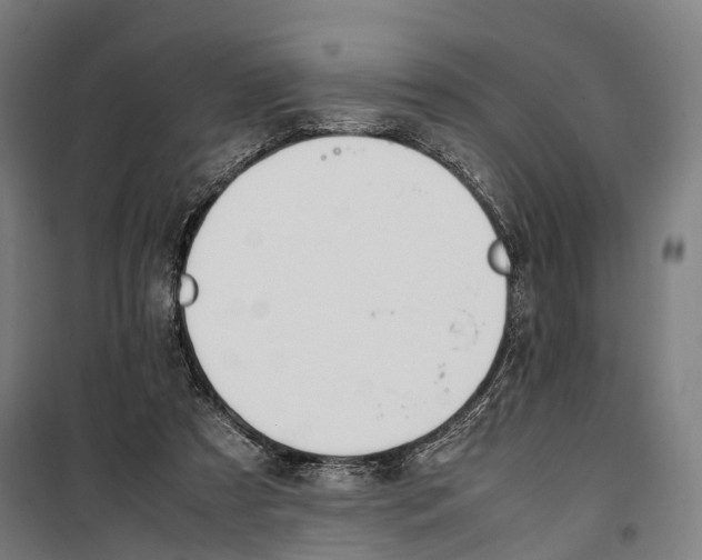 X0000099510305200806121445