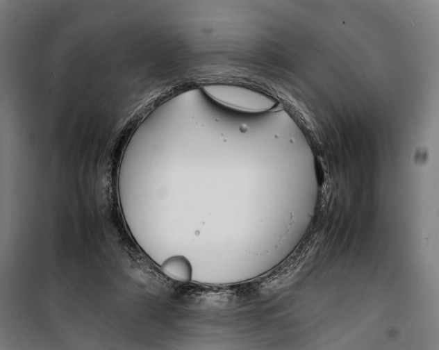X0000099510306200806121445