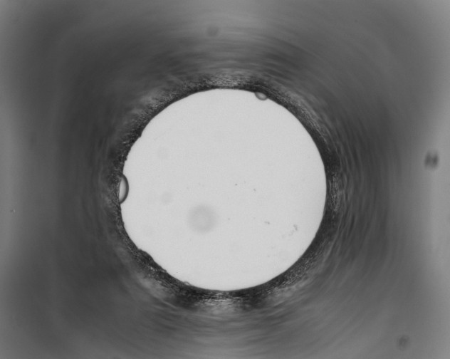 X0000099510307200806121445