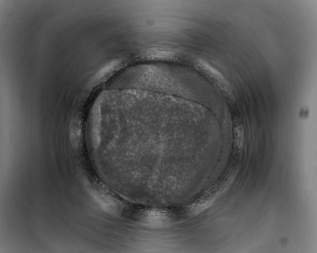 X0000099510308200806121445