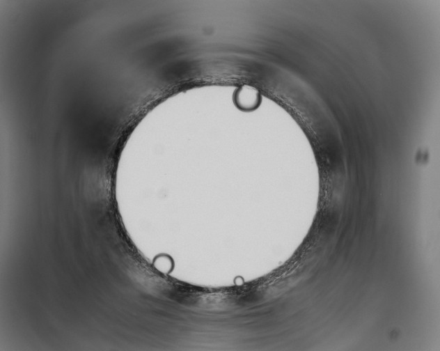 X0000099510309200806121445