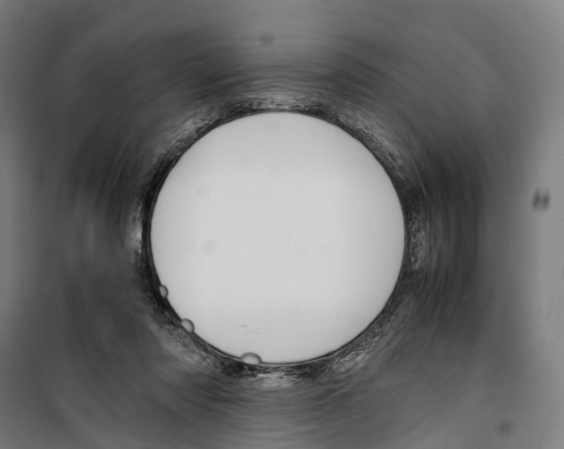 X0000099510310200806121445