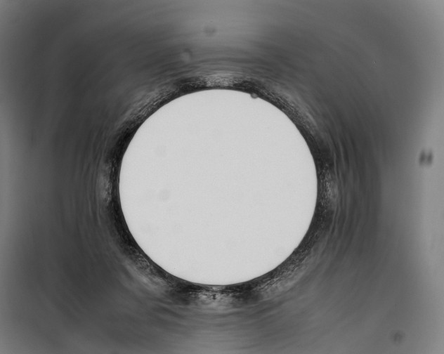 X0000099510311200806121445