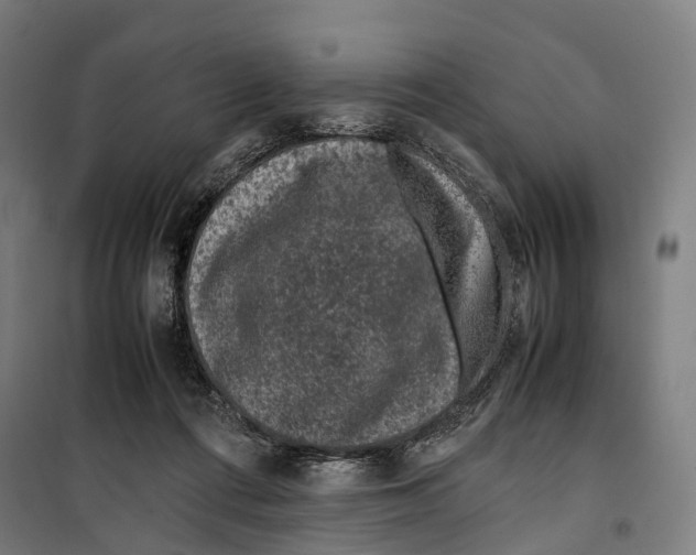 X0000099510312200806121445
