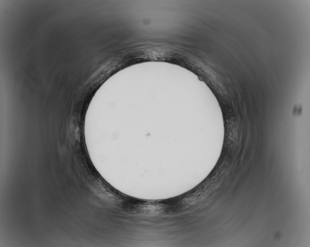 X0000099510313200806121445