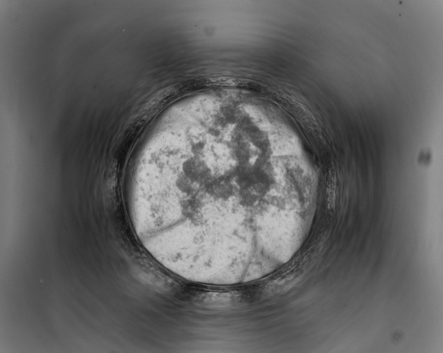 X0000099510314200806121445