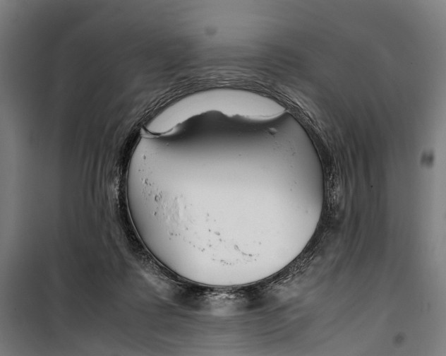 X0000099510315200806121445