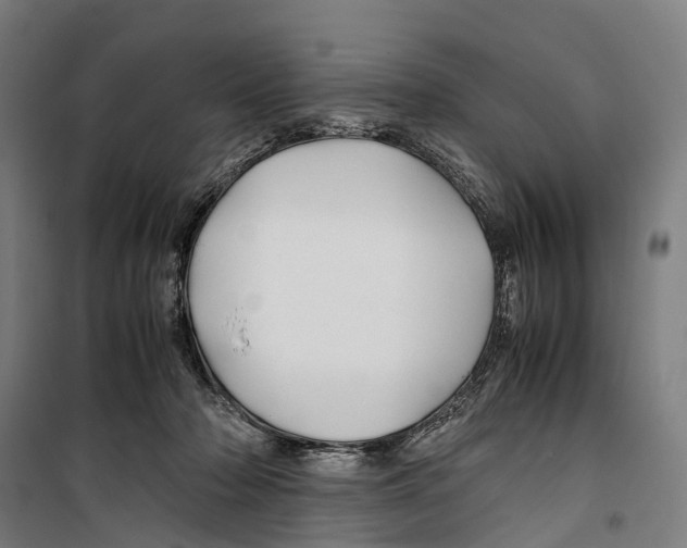 X0000099510318200806121445